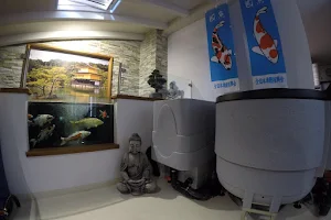 KOI-Franciacorta | Koi, Aquarium & Pet Store image