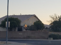 Professional Pigeon Control, LLC - Photo 2 - Car repair in , Phoenix