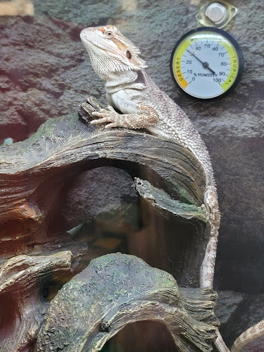 Pet Supply Store «Petco Animal Supplies», reviews and photos, 65 Taunton Depot Dr A, Taunton, MA 02780, USA