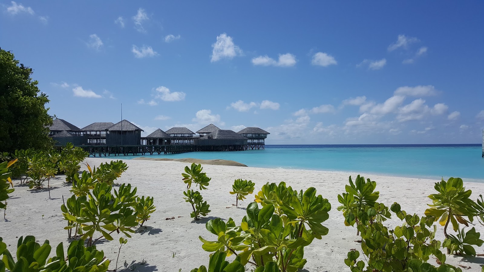 Foto von Six Senses Laamu Strand mit weißer sand Oberfläche