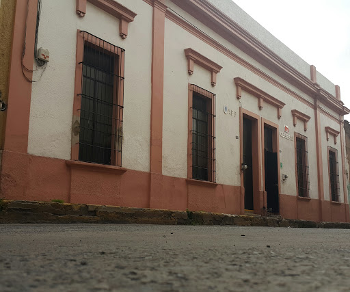 Centro Guestáltico de Enseñanza en Terapia Infantil y Adolescente AC.