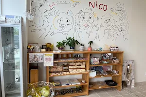 Nico image
