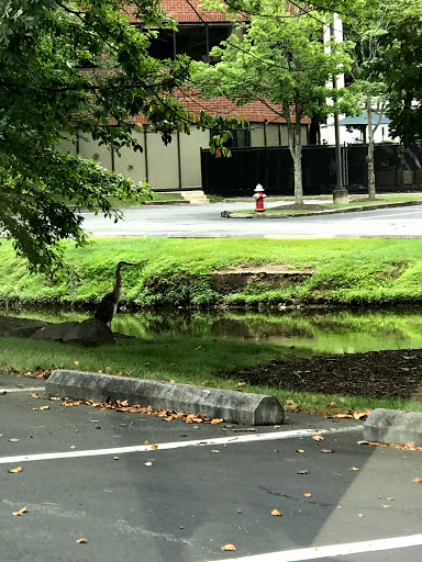 Day Care Center «Robert E Simon Jr Childrens Center», reviews and photos, 12005 Sunrise Valley Dr #120, Reston, VA 20191, USA