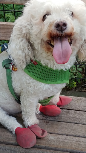 Park «Madison Square Park», reviews and photos, 11 Madison Ave, New York, NY 10010, USA