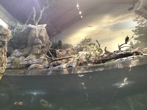 Sporting Goods Store «Bass Pro Shops», reviews and photos, 101 Bass Pro Drive, Harlingen, TX 78552, USA