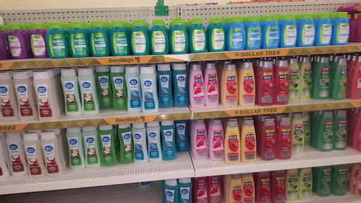 Dollar Store «Dollar Tree», reviews and photos, 1351 S Main St #500, Boerne, TX 78006, USA