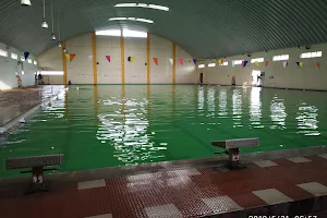 BSC Swimming Pool image