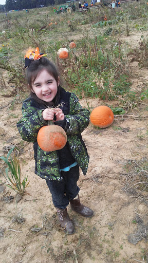 Farm «Bottom View Farm», reviews and photos, 185 Wilkerson Ln, Portland, TN 37148, USA