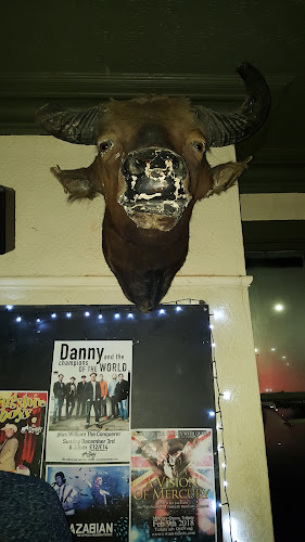 The Donkey - Leicester