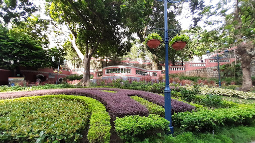 S. Francisco Garden