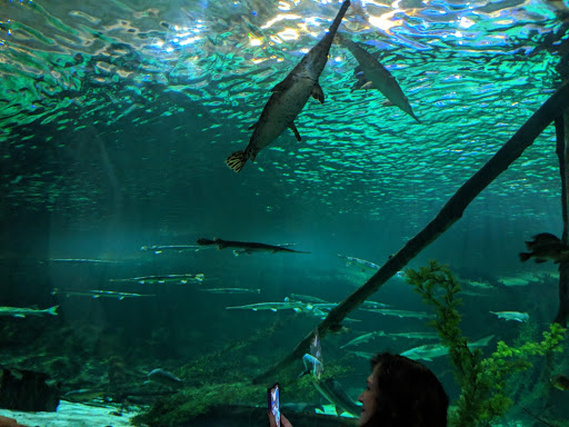 Aquarium «SEA LIFE Minnesota Aquarium», reviews and photos, 120 E Broadway, Bloomington, MN 55425, USA