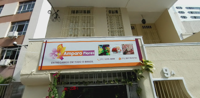 Amparo Flores