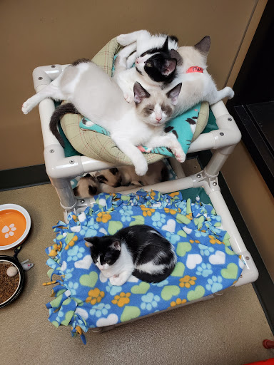 Non-Profit Organization «Heartland Humane Society», reviews and photos, 398 SW Twin Oaks Cir, Corvallis, OR 97333, USA