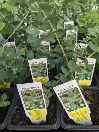 Wholesale Plant Nursery «Garden Fantasy», reviews and photos, 43250 Tyler Rd, Belleville, MI 48111, USA