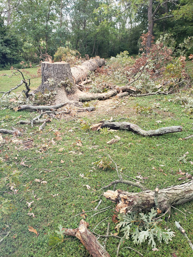 Park «Sherando Park», reviews and photos, 255 Lakeview Cir, Stephens City, VA 22655, USA