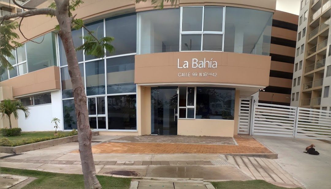 PUERTA DORADA MARVAL