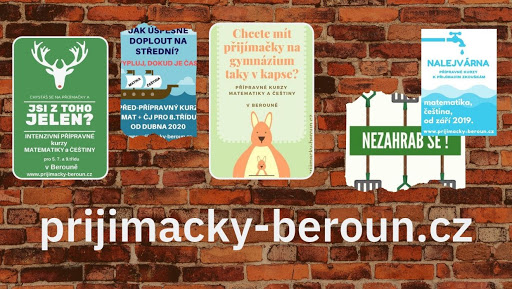 prijimacky-beroun.cz, Přípravné kurzy a doučování matematiky a češtiny