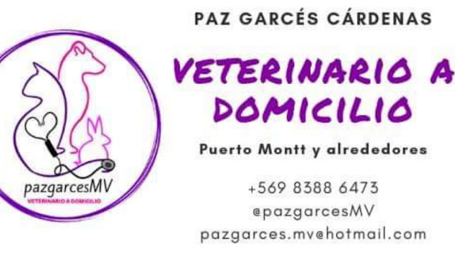Opiniones de Veterinario a domicilio Dra. Paz Garcés en Puerto Montt - Veterinario