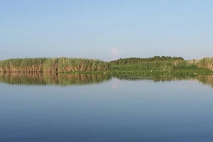 Lake Jesup image