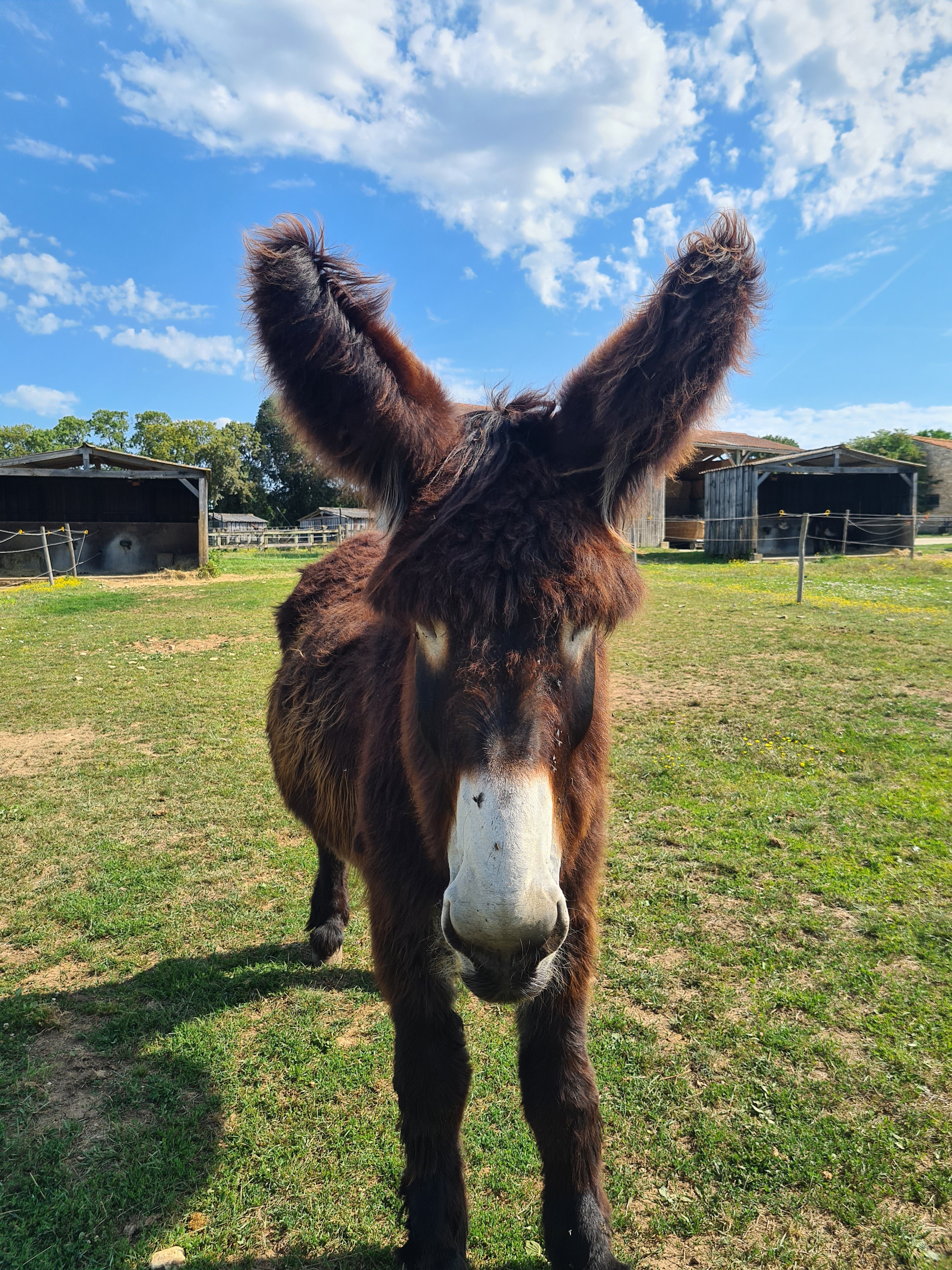 Photo n° 3 de l'avis de Sam.a fait le 08/07/2023 à 20:46