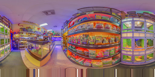 Pet Store «Discount Pets & Supplies», reviews and photos, 211 Hancock Bridge Pkwy, Cape Coral, FL 33990, USA