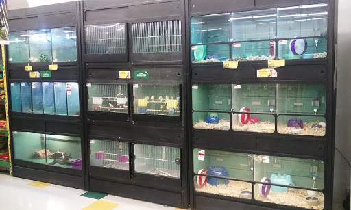Pet Supply Store «Pet Supplies Plus», reviews and photos, 4824 Broadway St, Quincy, IL 62305, USA