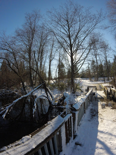 Park «Lake Boren Park», reviews and photos, 13058 SE 84th Way, Newcastle, WA 98056, USA