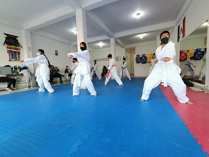 Taekwondo kodanya San Felipe del Progreso