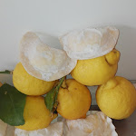 Photo n°5 de l'avis de Veronica.a fait le 30/04/2018 à 06:54 sur le  Ristorante Ul Taribul à Malgesso