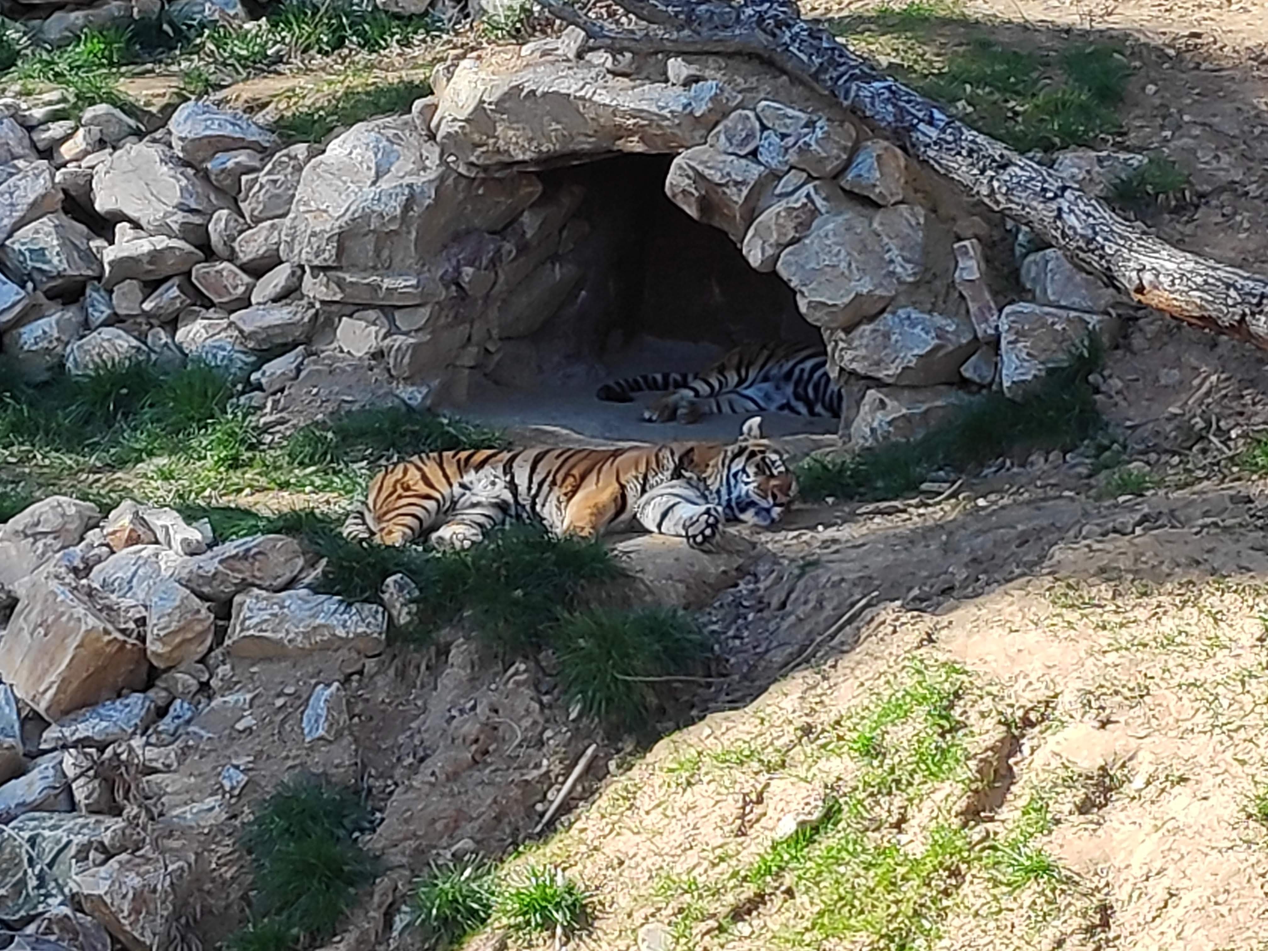 Photo n° 2 de l'avis de Olivier.o fait le 24/02/2020 à 09:27