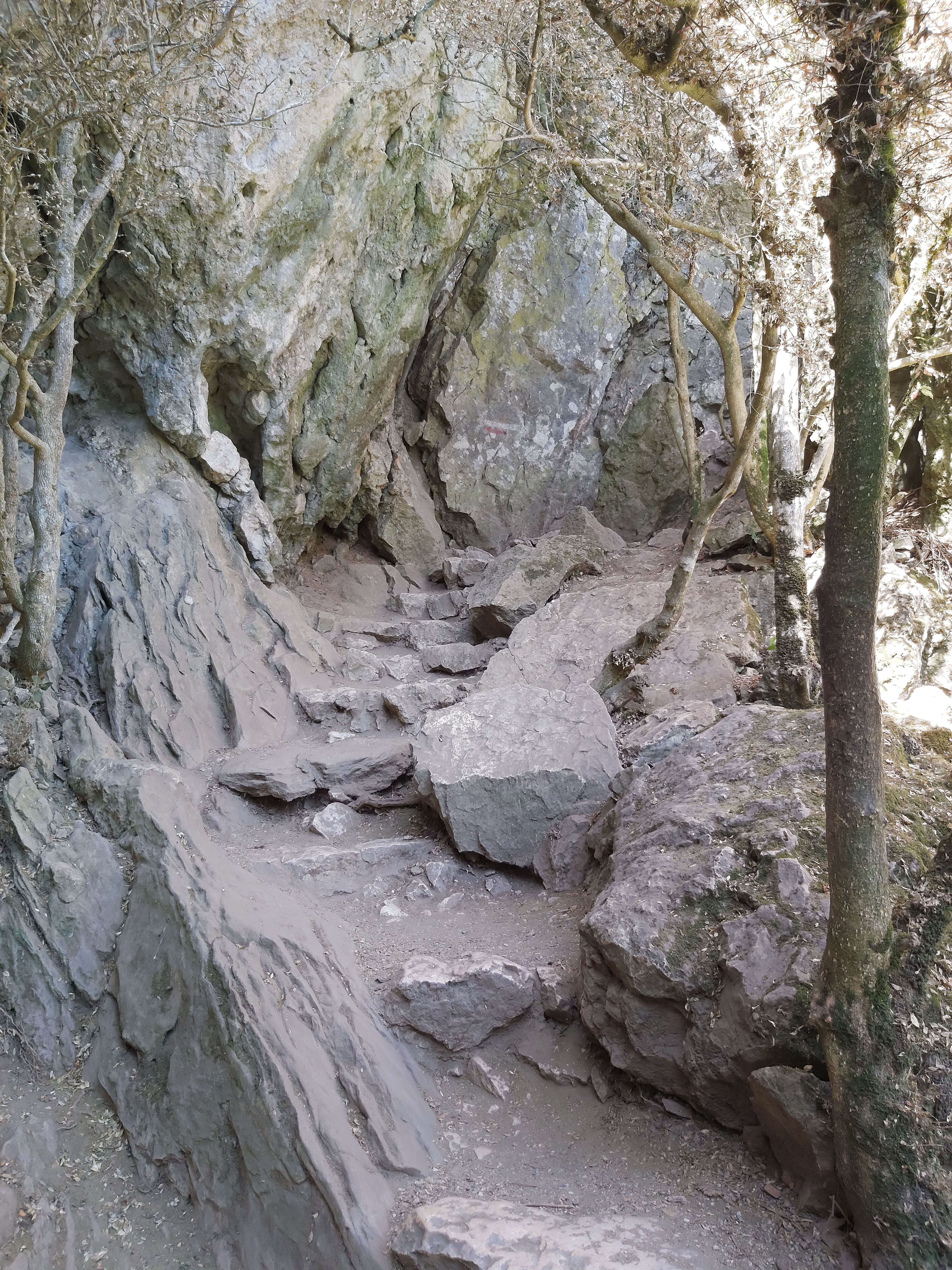 Photo n° 1 de l'avis de Fabian.a fait le 13/09/2021 à 13:37