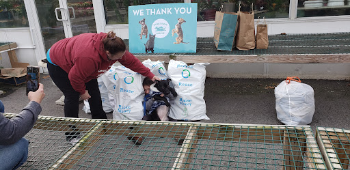 Florist «Nunan Florist & Greenhouses», reviews and photos, 269 Central St, Georgetown, MA 01833, USA