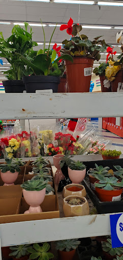 Discount Store «99 Cents Only Stores», reviews and photos, 20165 N 67th Ave, Glendale, AZ 85308, USA