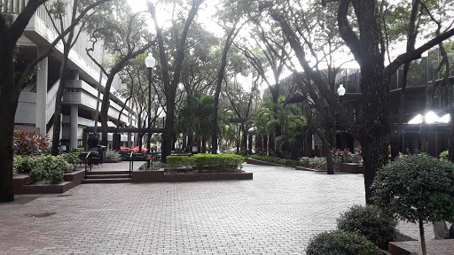 Law Firm «Morgan & Morgan», reviews and photos