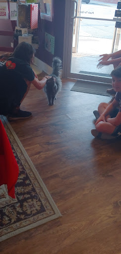 Winery «Wyldewood Cellars Winery», reviews and photos, 218 E Lincoln St, St Joseph, IL 61873, USA