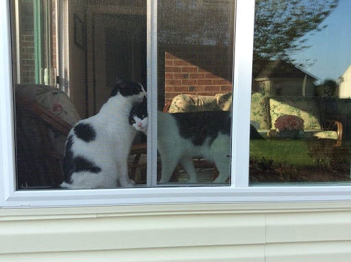 Contractor «Jim Hicks Home Improvement», reviews and photos, 1730 George Washington Memorial Hwy, Yorktown, VA 23693, USA