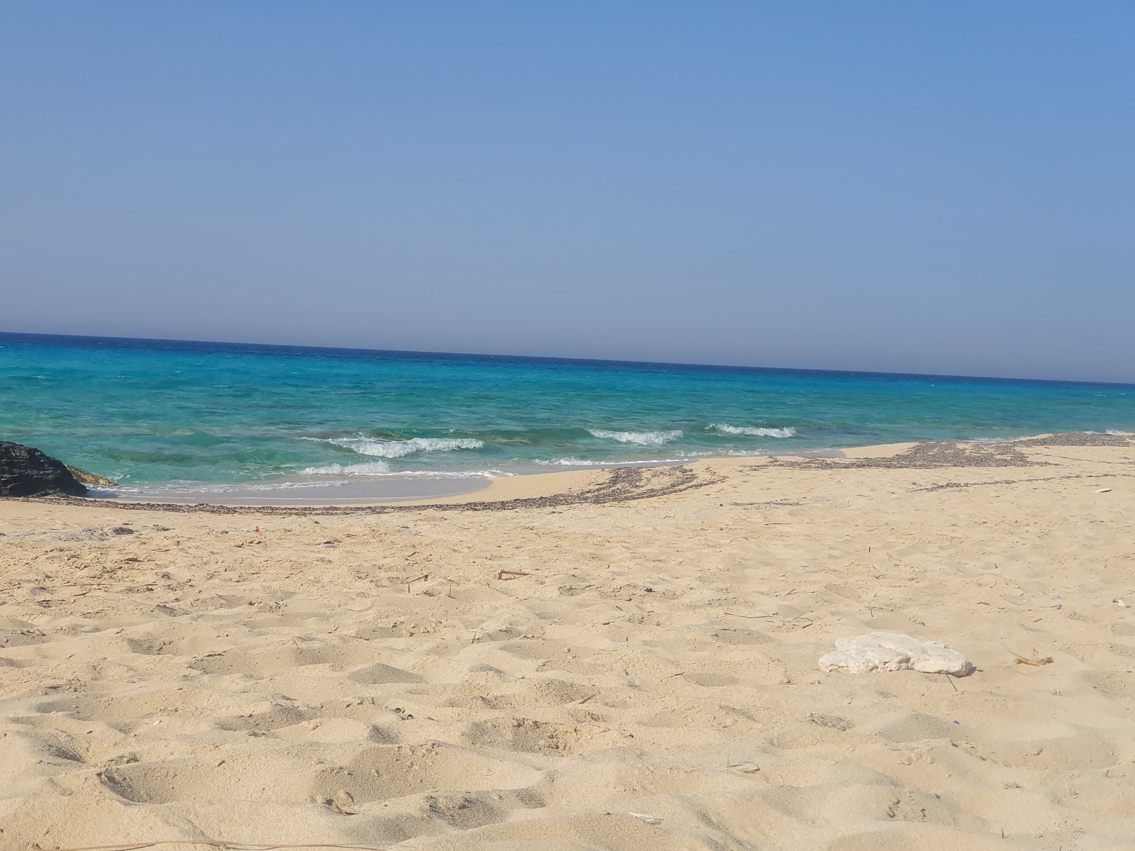 Amwaj Beach'in fotoğrafı otel alanı