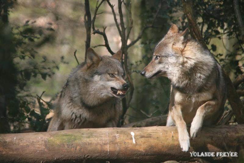 Photo n° 6 de l'avis de yolande.r fait le 24/10/2023 à 19:03