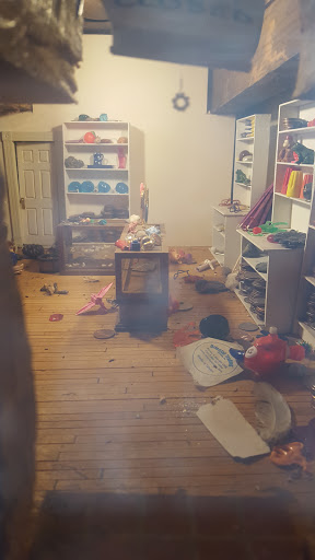 Gift Shop «The Peaceable Kingdom», reviews and photos, 210 S Main St, Ann Arbor, MI 48104, USA