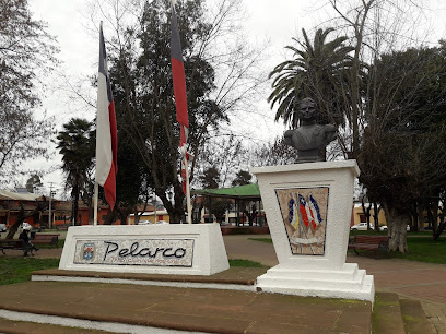 Ilustre Municipalidad de Pelarco