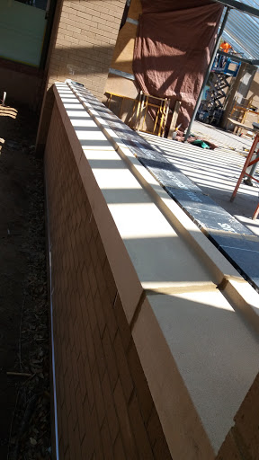 Animal Protection Organization «Charleston Animal Society», reviews and photos