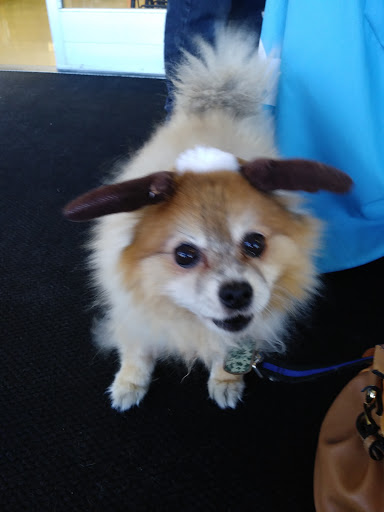 Pet Supply Store «Petco Animal Supplies», reviews and photos, 3055 N President George Bush Hwy, Garland, TX 75040, USA