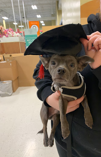 Pet Supply Store «PetSmart», reviews and photos, 8537 W Grand River Ave, Brighton, MI 48116, USA