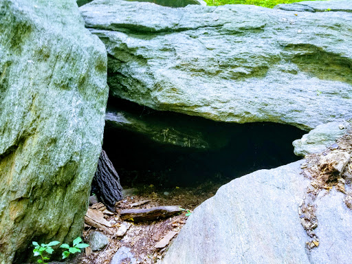 Park «Inwood Hill Park», reviews and photos, Dyckman St, New York, NY 10452, USA