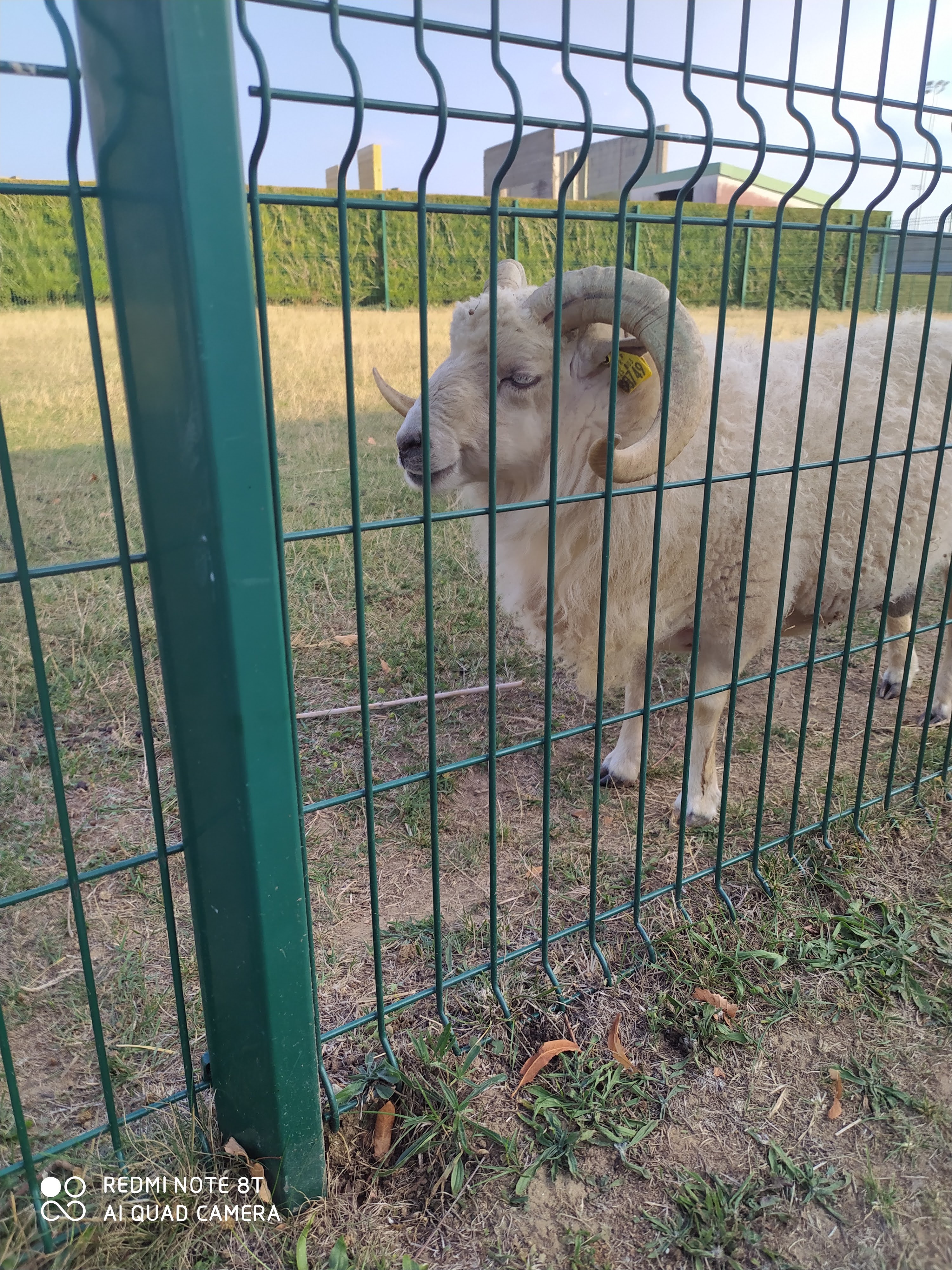 Photo n° 7 de l'avis de coralie.e fait le 27/09/2020 à 16:20