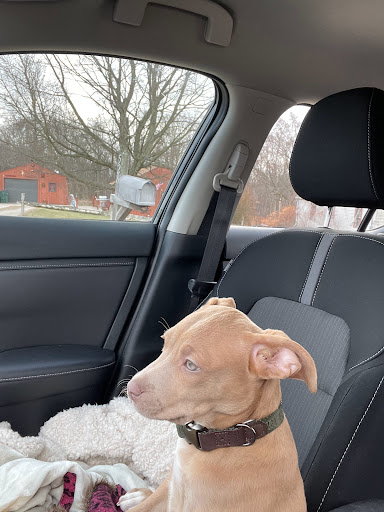 Car Detailing Service «Magic Shine Hand Carwash & Detail shop», reviews and photos, 546 Snyder Ave, Barberton, OH 44203, USA