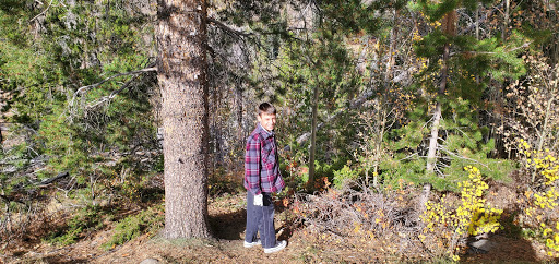 Public Golf Course «The River Course at Keystone», reviews and photos, River Course Dr, Keystone, CO 80435, USA