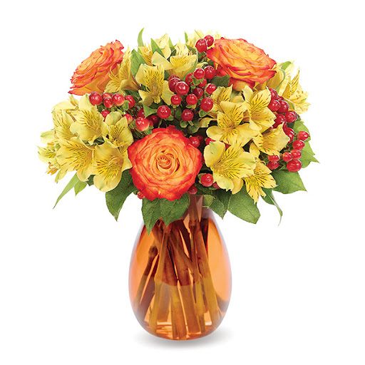 Montis Florist Santa Rosa CA | Flower Delivery