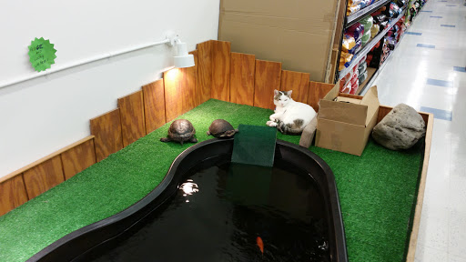 Pet Store «Classic Pet Supply», reviews and photos, 34790 23 Mile Rd, Chesterfield, MI 48047, USA