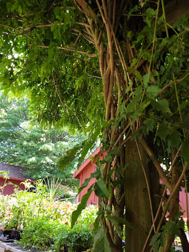 Farm «B & B Flower Farm», reviews and photos, 668 Jones Hill Rd, West Haven, CT 06516, USA